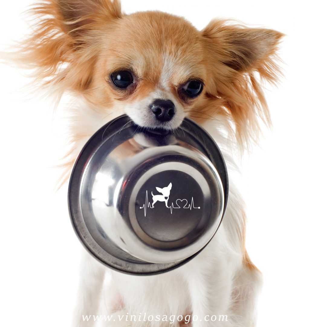 Vinil-Animales-A-023
