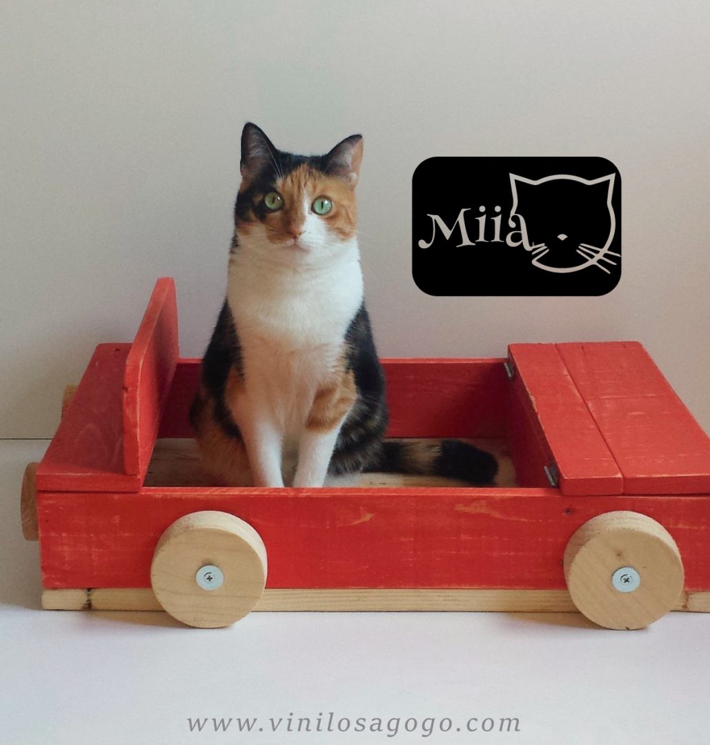 Vinil-Animales-A-031
