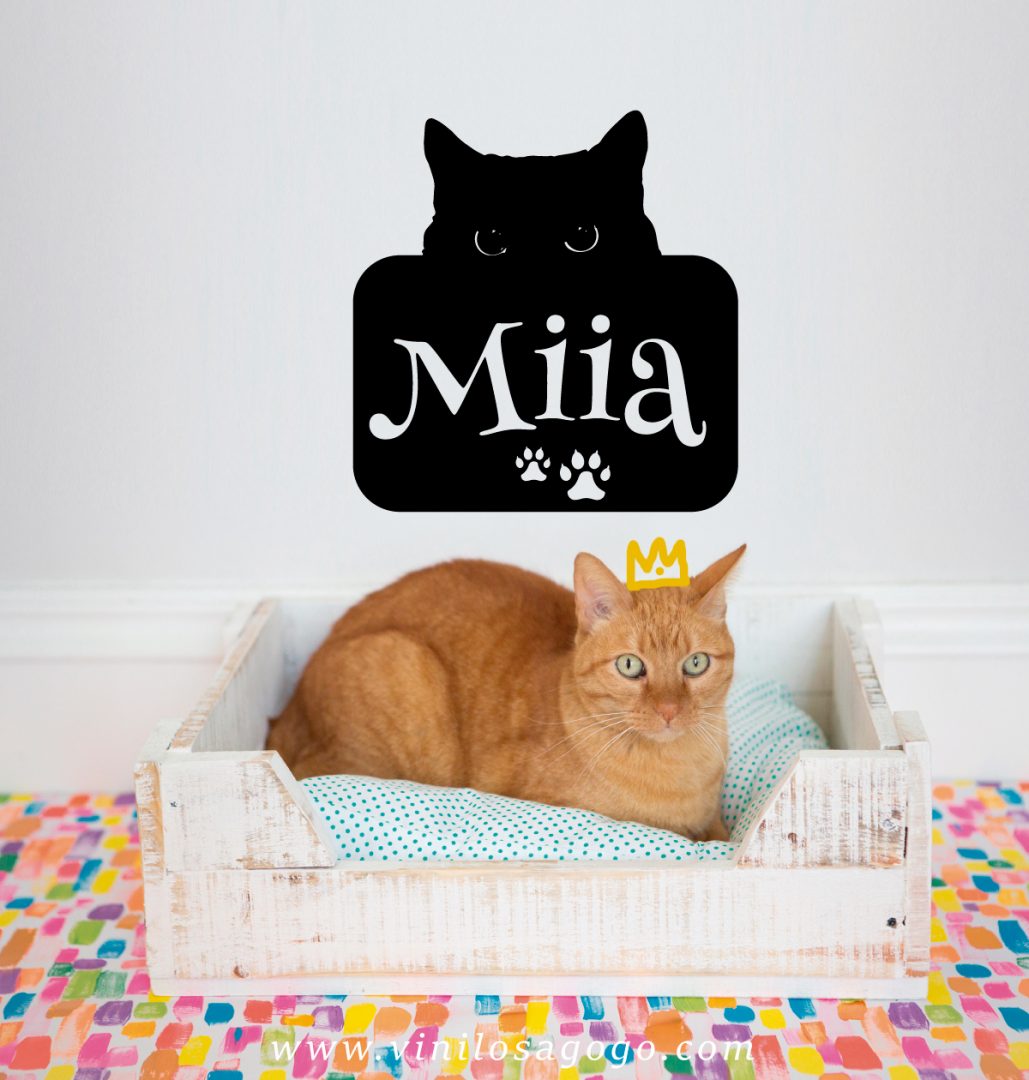 Vinil-Animales-A-032