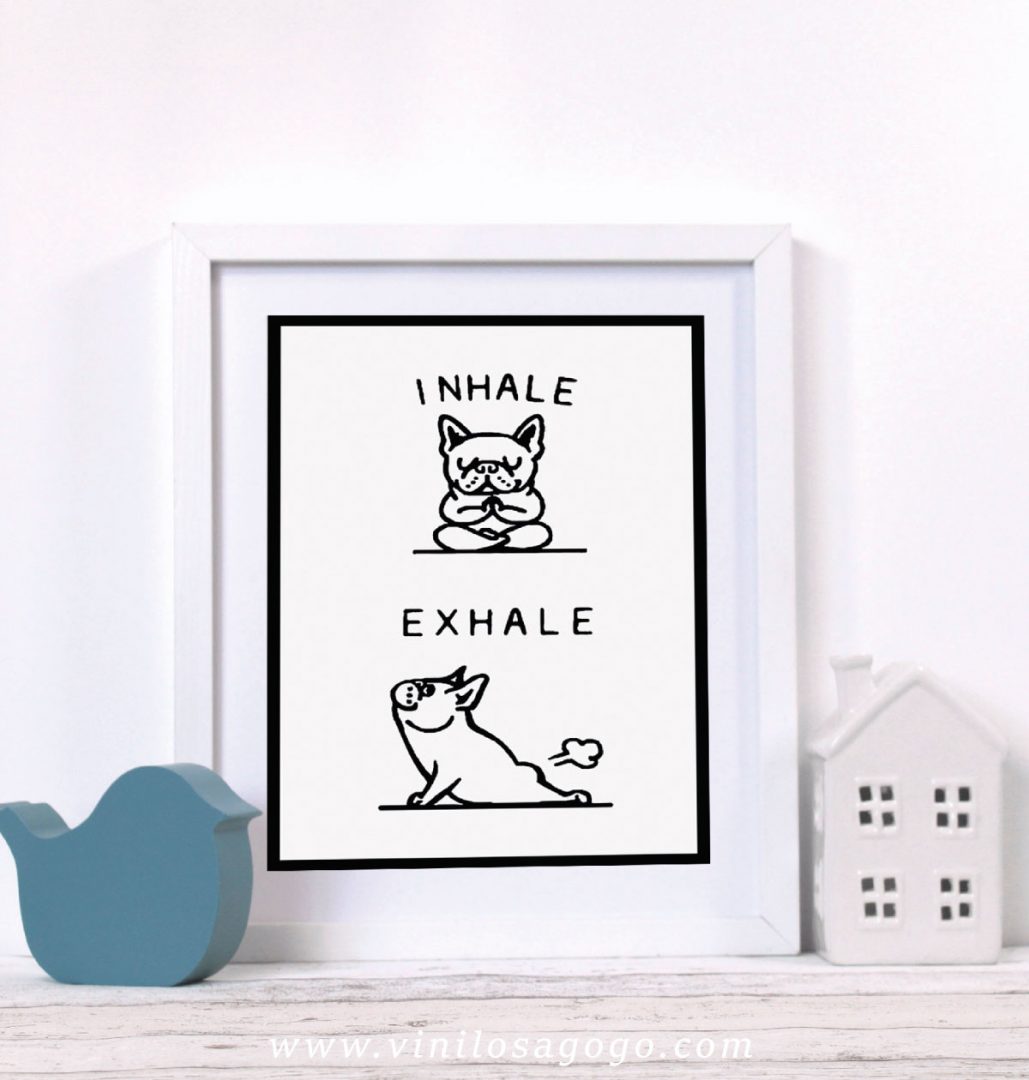 Vinil-Animales-A-058