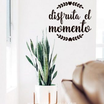Disfruta el momento